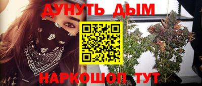 мдпв Краснознаменск