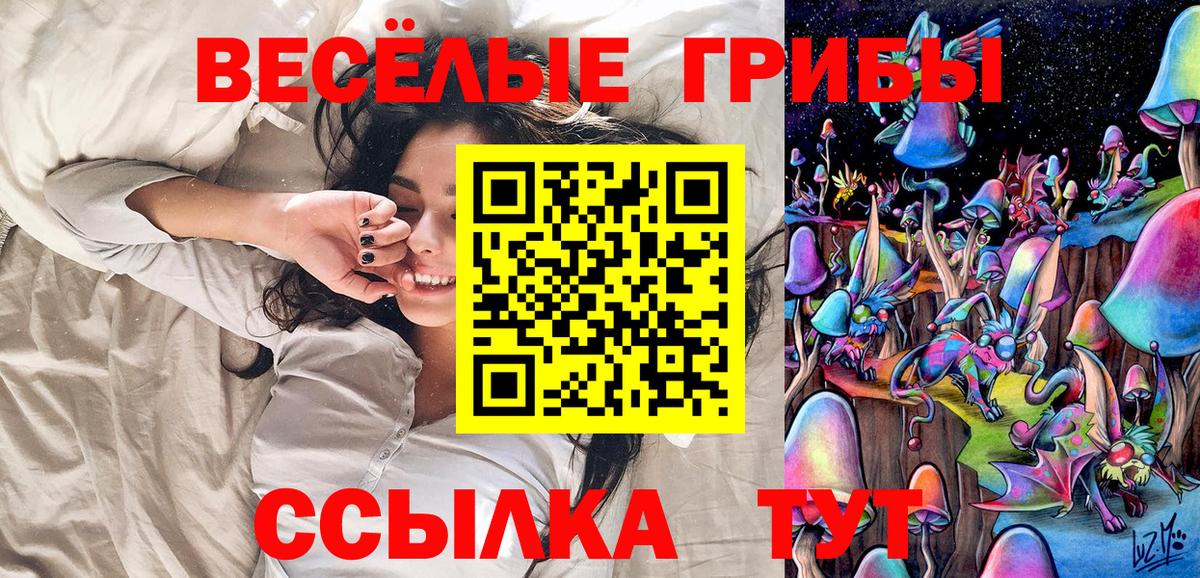 Галлюциногенные грибы прущие грибы Каспийск
